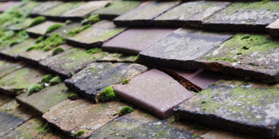 Croes Hywel roof repair costs